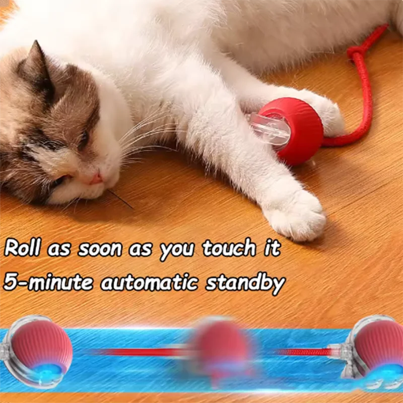 Intelligent interactive cat ball pet dog toys