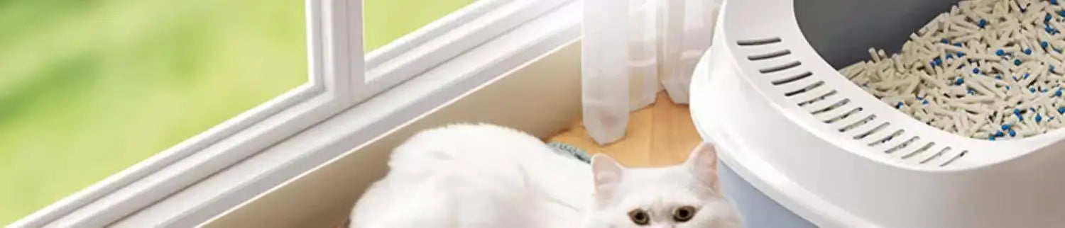 Pet Floor Protector